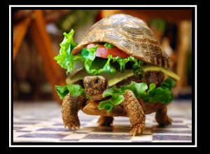 turt