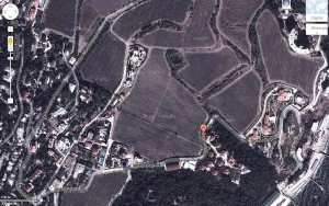 виноградная