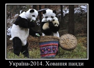 панда
