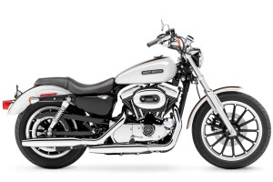 Василь Грицак все життя працював на державну зарплату в СБУ і має подібний мотоцикл Harley-Davidson Sportster XL-1200 ціною в десятки тисяч доларів.