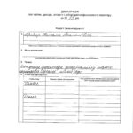 ДЕКЛАРАЦIЯ1